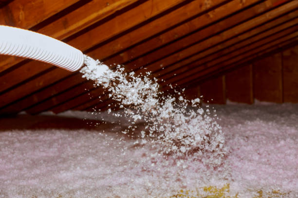 Best Crawl Space Insulation  in Meadow Glade, WA