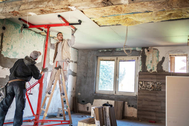 Best Affordable Insulation Services  in Meadow Glade, WA