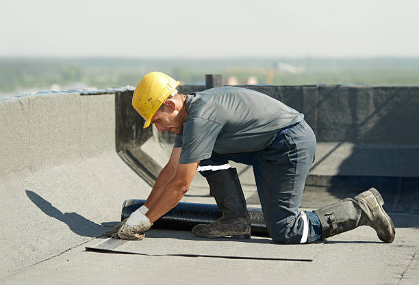 Best Cellulose Insulation  in Meadow Glade, WA