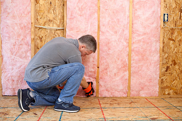 Best Wall Insulation Contractor  in Meadow Glade, WA
