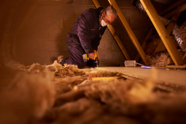 Best Best Insulation Companies  in Meadow Glade, WA