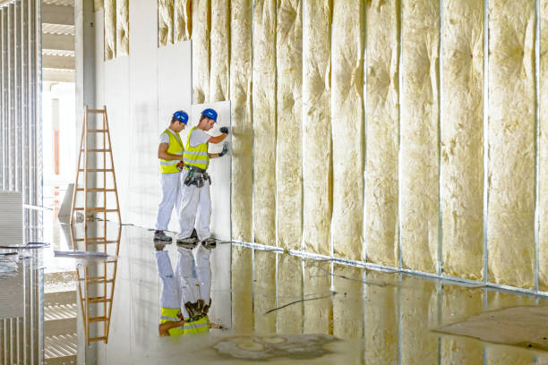 Trusted Meadow Glade, WA Insulation Contractor Experts
